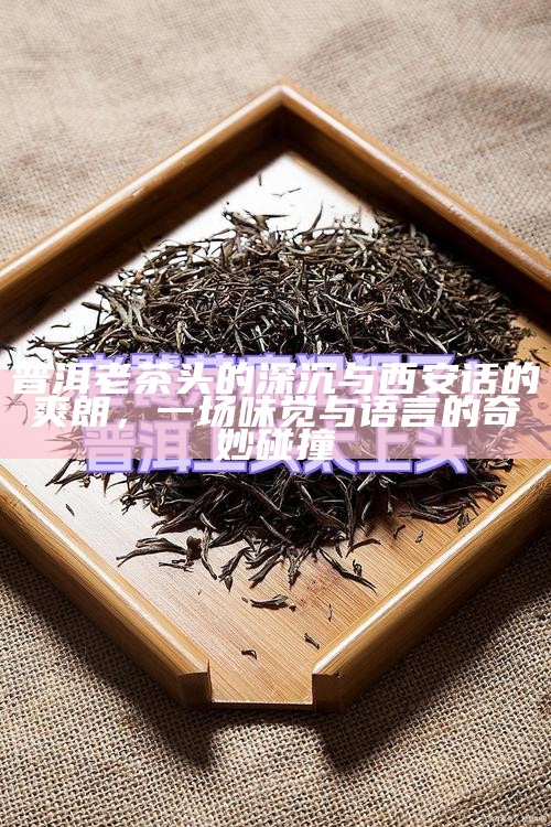 普洱老茶头的深沉与西安话的爽朗，一场味觉与语言的奇妙碰撞