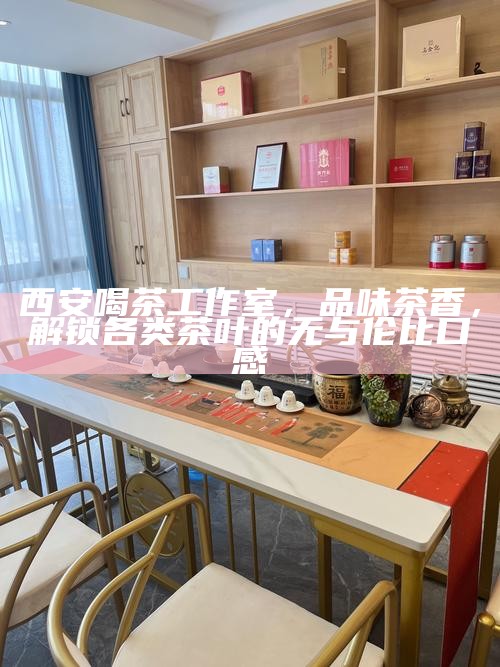 西安高端海选工作室，商务茶局方案，打造尊享接待体验